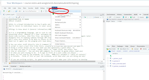 Image of Rstudio/posit Cloud screen with Tools selected in top menu, then Install Packages circled.